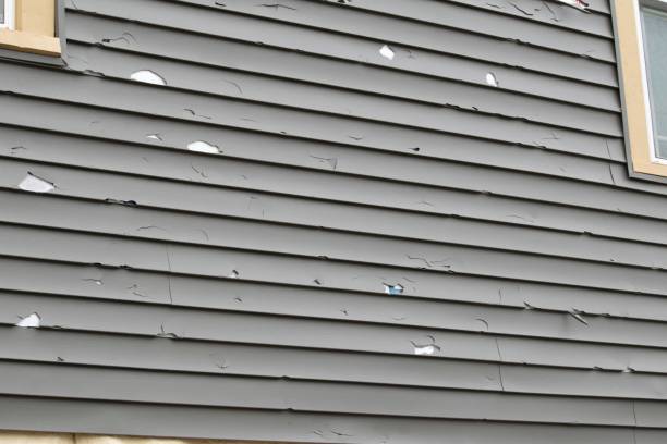 Best Wood Siding Installation  in Mp Pendleton South, CA