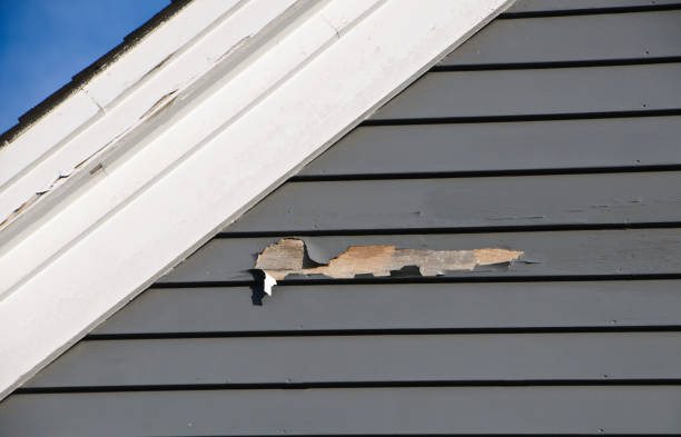 Best Siding Painting and Refinishing  in Mp Pendleton South, CA